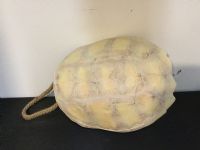 CAI Sale Item